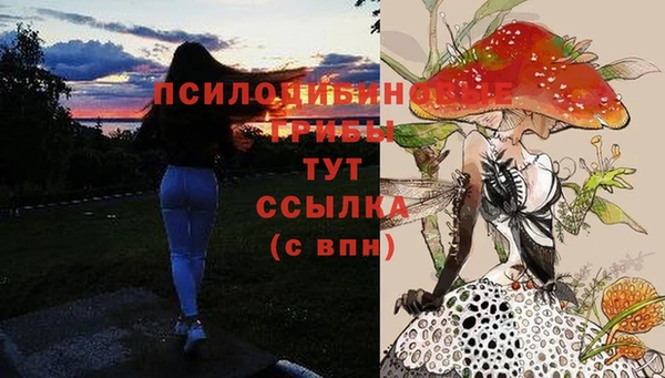 apvp Вязьма