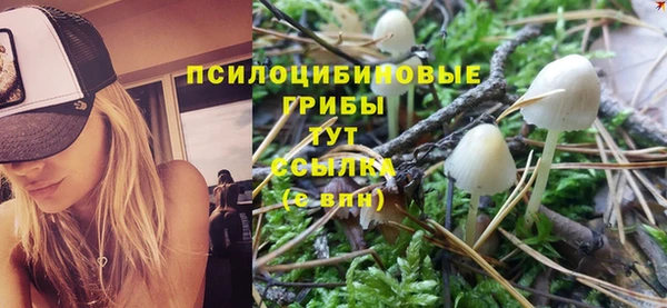 apvp Вязьма