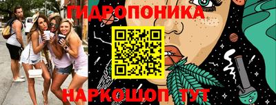 стафф Кандалакша