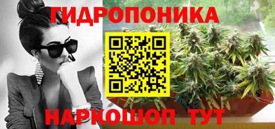 стафф Кандалакша
