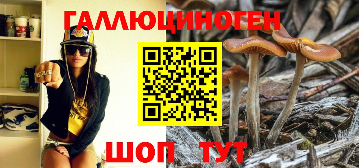 Псилоцибиновые грибы MAGIC MUSHROOMS Симферополь